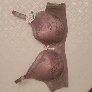 Honeydew- Full Figure, Padded, Underwire Bra